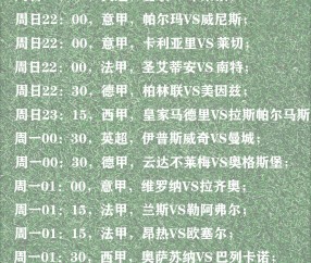 尊龙入口 - 葡萄牙vs加纳直播回放 