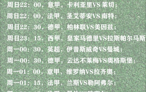 尊龙入口 - 葡萄牙vs加纳直播回放 