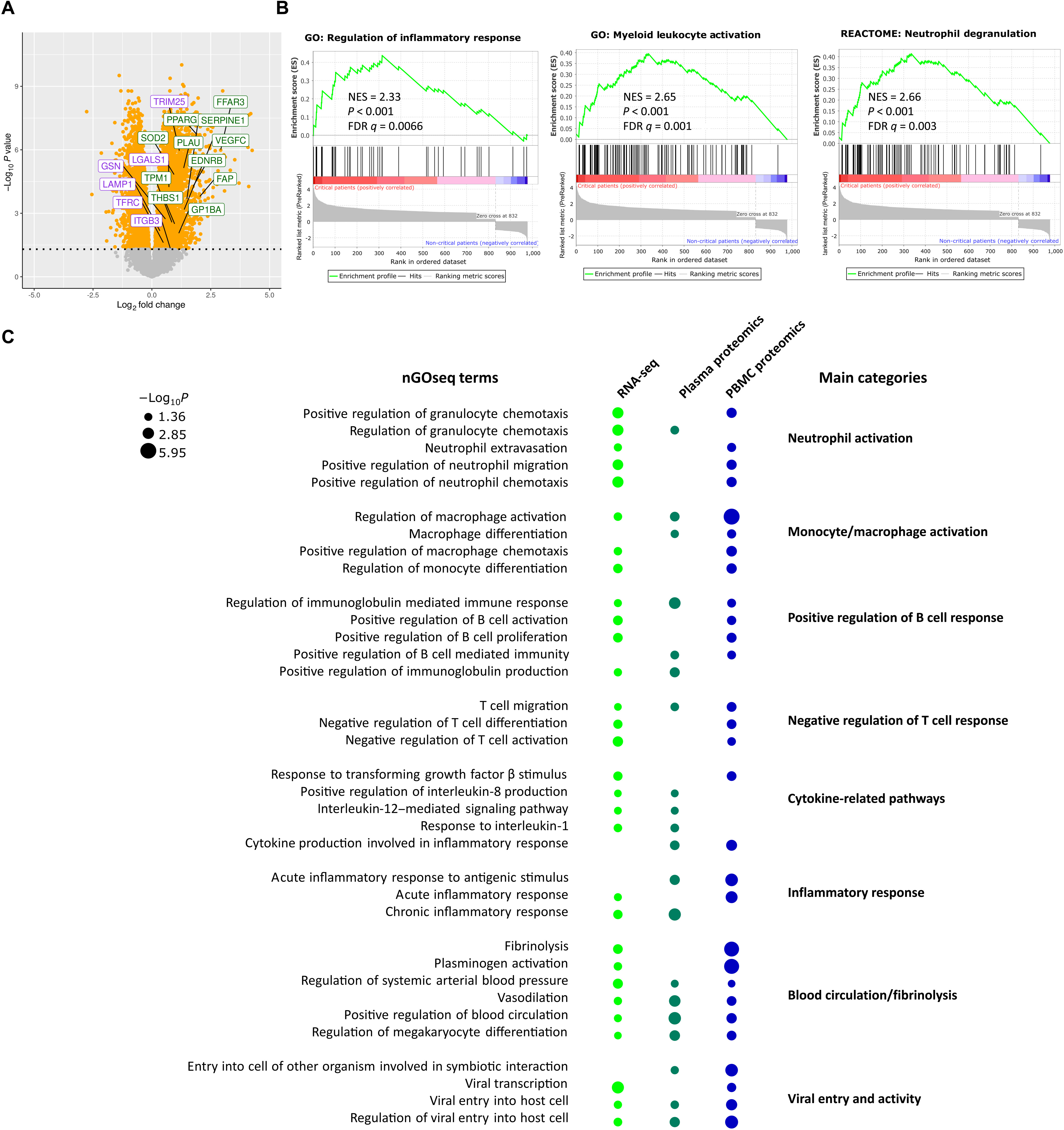 欧联倒计时，斯图加特清晨单刀错失，细节引发关注，气氛紧张，医务组通报恢复的简单介绍